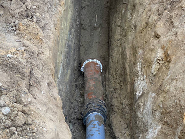 Best Basement water damage restoration  in Myrtle Grove, FL
