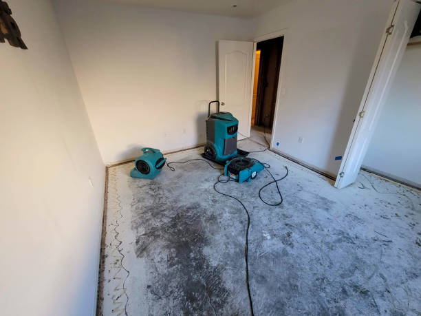  Myrtle Grove, FL Water damage restoration Pros