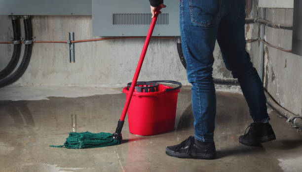 Best Flood restoration services  in Myrtle Grove, FL