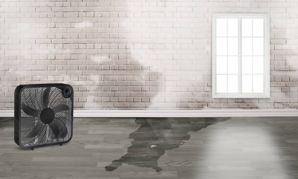 Best 24-hour water damage restoration  in Myrtle Grove, FL