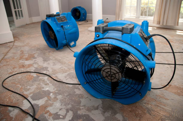 Best Water damage restoration experts  in Myrtle Grove, FL