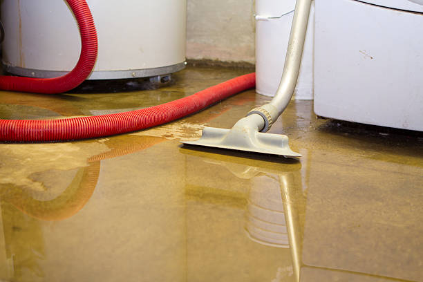 Best Ceiling water damage repair  in Myrtle Grove, FL