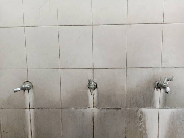 Best Local water damage restoration  in Myrtle Grove, FL