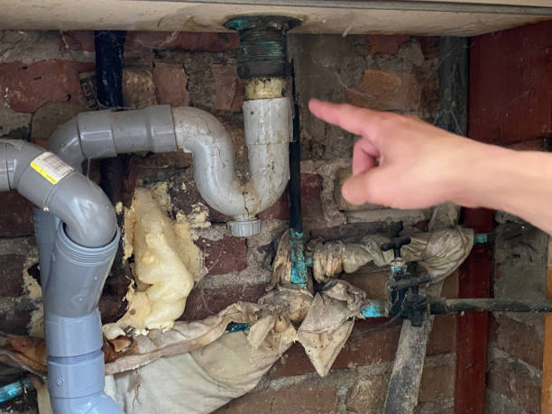 Best Sewage cleanup and water damage restoration  in Myrtle Grove, FL