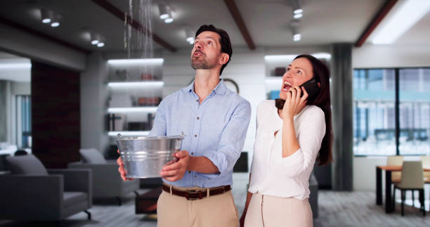 Best Carpet water damage restoration  in Myrtle Grove, FL