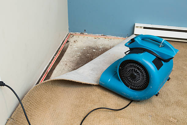 Water damage restoration experts in Myrtle Grove, FL